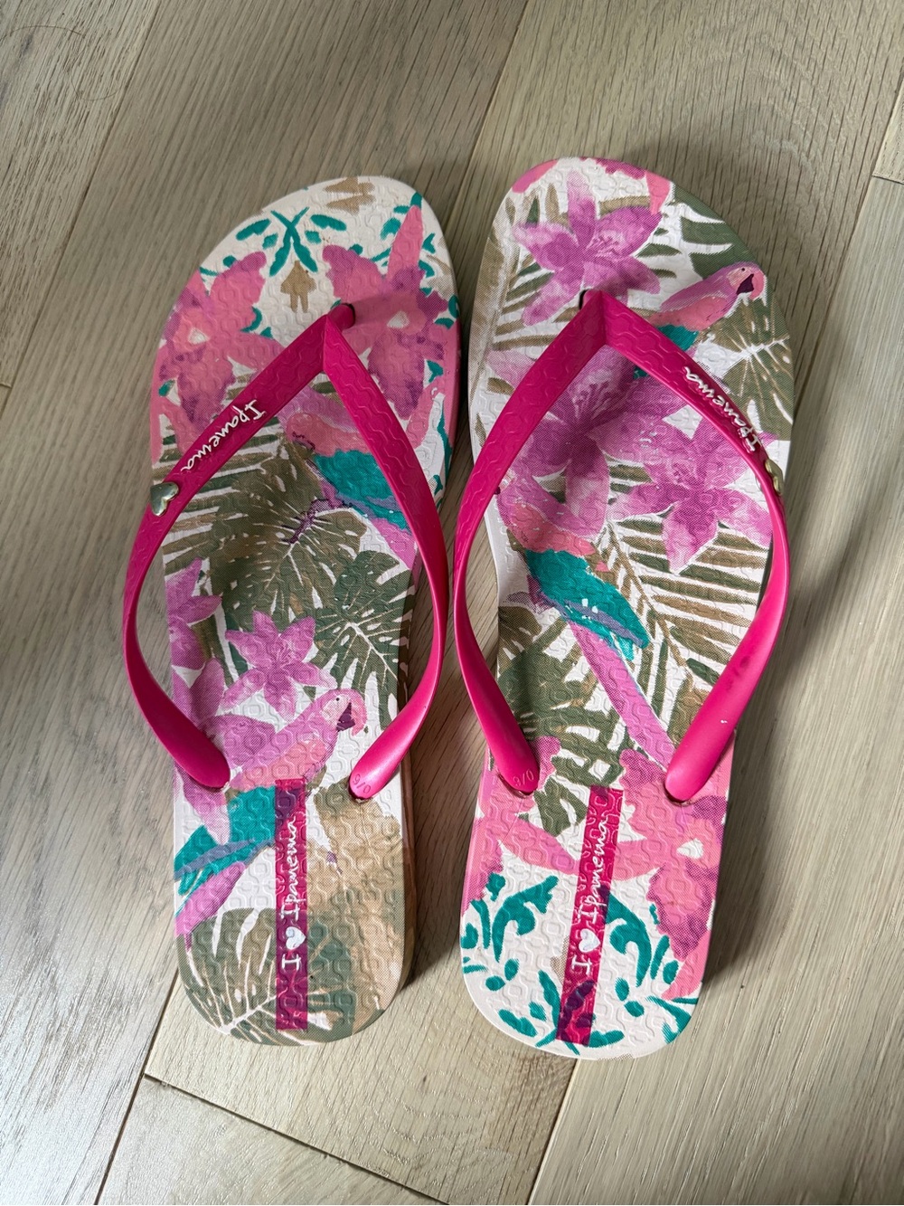 Ipanema Flip Flops